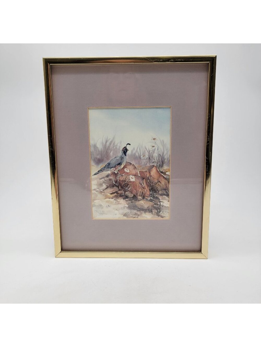 Vintage Quail Print By Kit Ritter Framed & Matted Wall Art